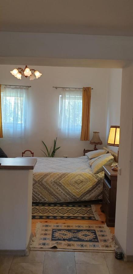 Cozy Home In The Heart Of Cluj-Napoca Ngoại thất bức ảnh